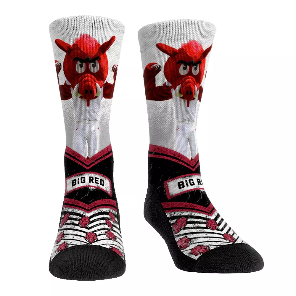 Arkansas Razorbacks - Mascot Walkout