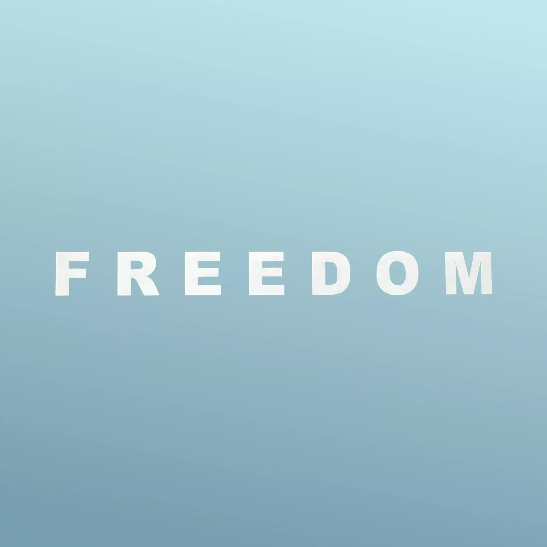 FREEDOM - Sticker - Vinyl - White